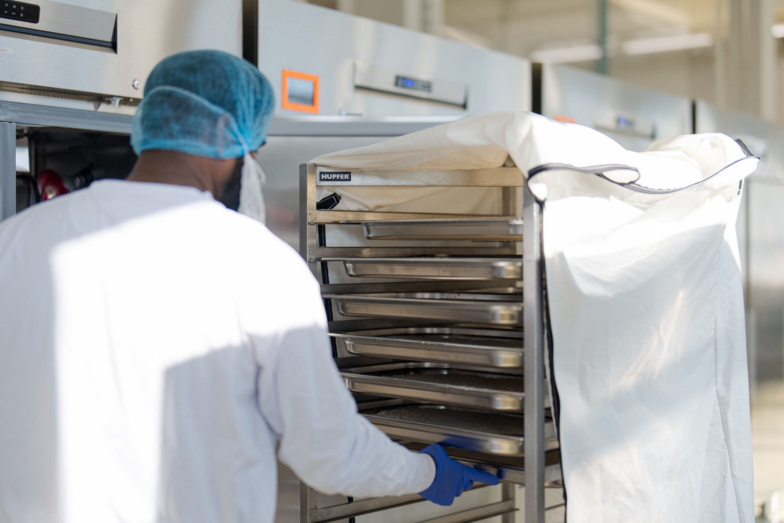 Mitarbeiter belädt den Fermentationsschrank in der Luya-Produktion